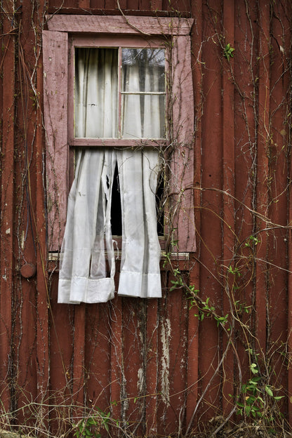 Capture Arkansas IV: The best of Arkansas in Photography Book