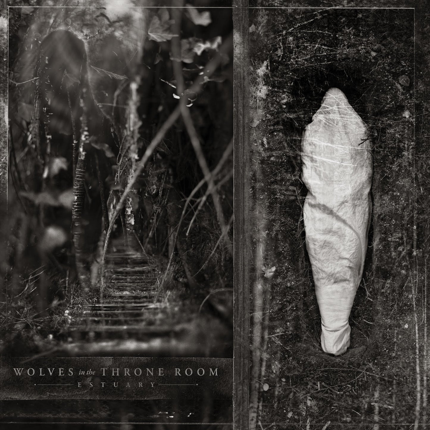 PRE-ORDER Estuary - Wolves In The Throne Room [Silver Vinyl] [Vinyl] Vinyl Record