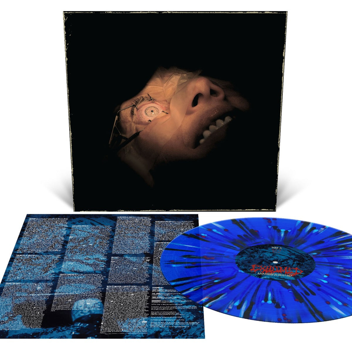 Anatomy Is Destiny (Royal Blue with Splatter) [Vinyl] Vinyl Record