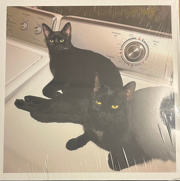 Sons Of  Vinyl Record