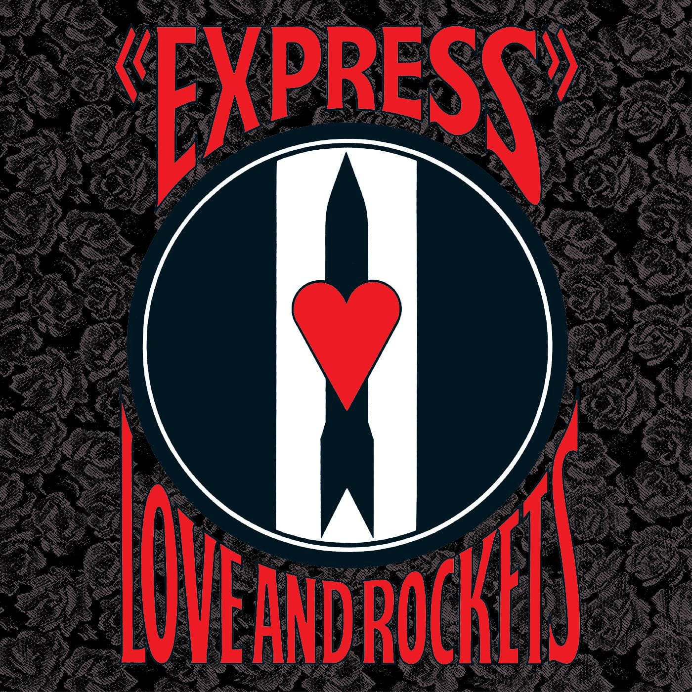 Express Vinyl Record