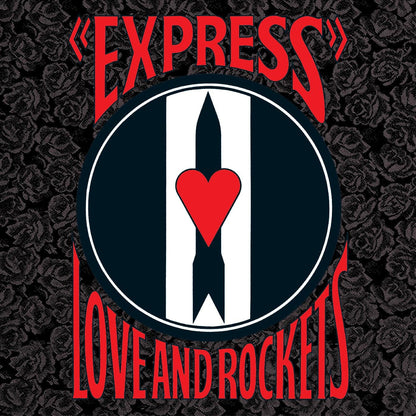 Express Vinyl Record
