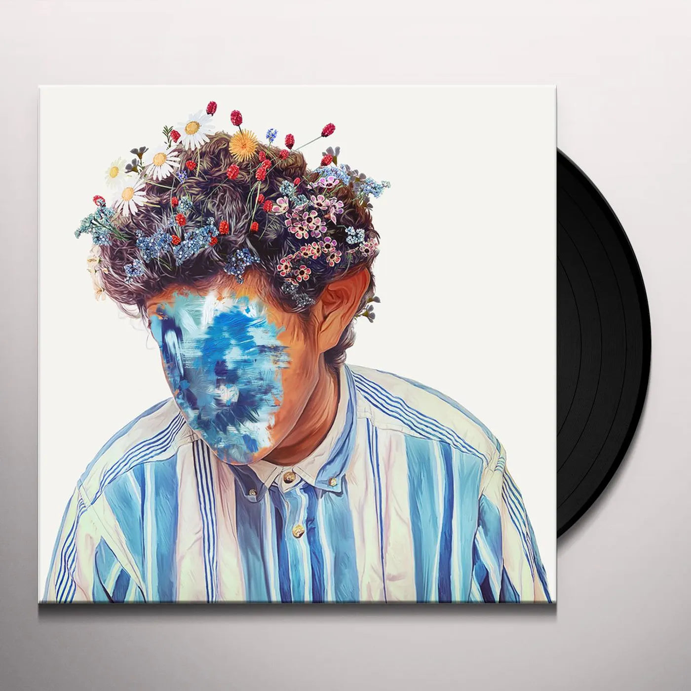 Hobo Johnson - Fall Of Hobo Johnson Vinyl Record