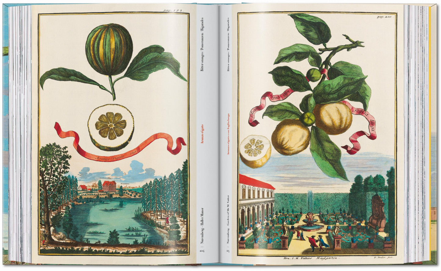 J. C. Volkamer. The Book of Citrus Fruits. 45th Ed. (German, French, English) Book