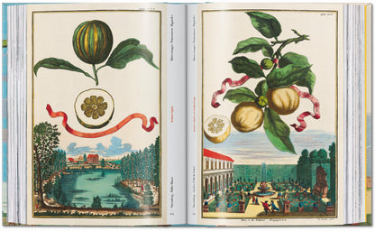 J. C. Volkamer. The Book of Citrus Fruits. 45th Ed. (German, French, English) Book