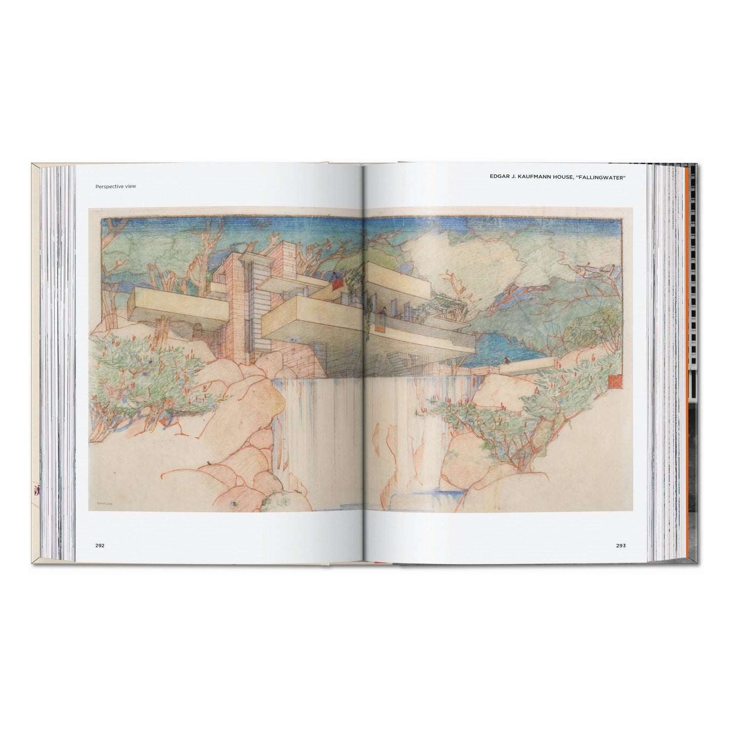 Frank Lloyd Wright. 45th Ed. (English) Book