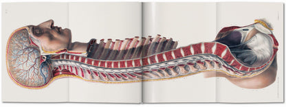 Bourgery. Atlas of Human Anatomy and Surgery (German, French, English) Book