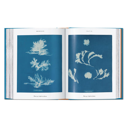 Anna Atkins. Cyanotypes. 45th Ed. (German, French, English) Book