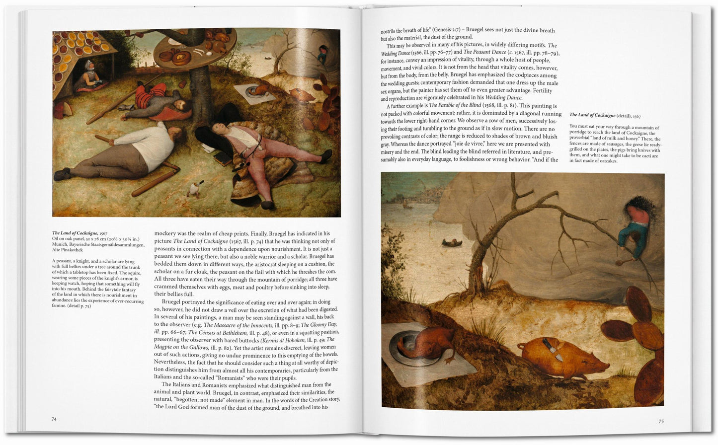 Bruegel (English) Book