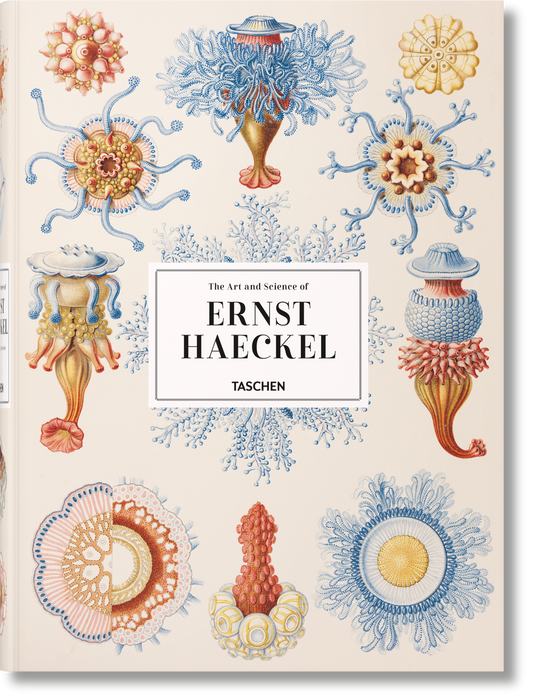 The Art and Science of Ernst Haeckel (German, French, English) Book