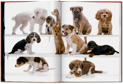 Walter Chandoha. Dogs. Photographs 1941–1991 (English) Book