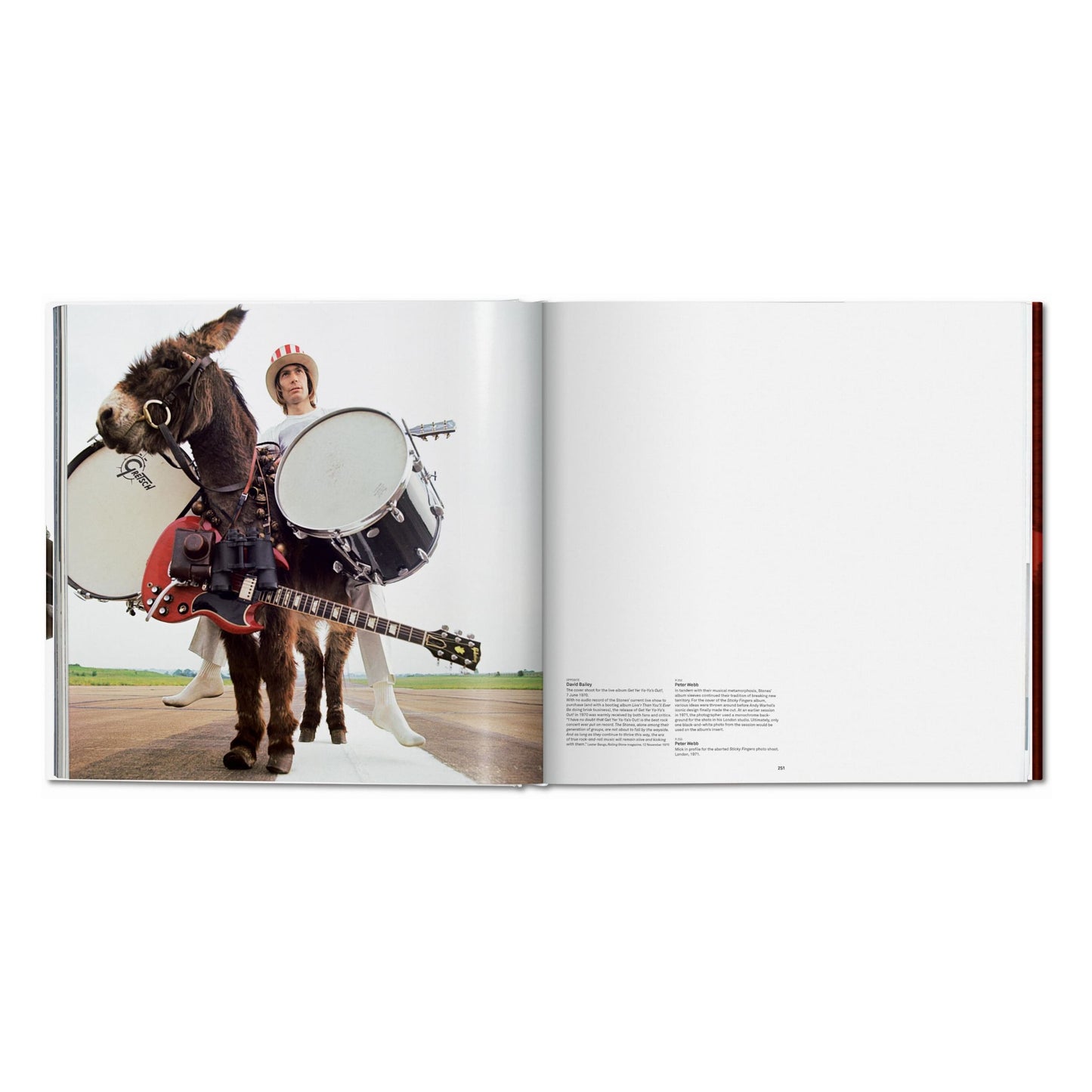 The Rolling Stones. Updated Edition (English) Book