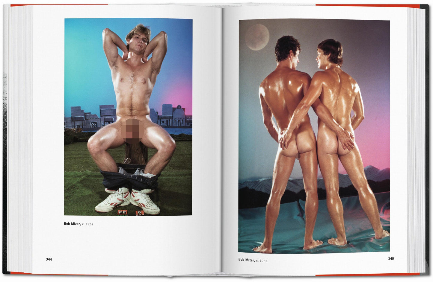 The Male Nude (German, French, English) Book