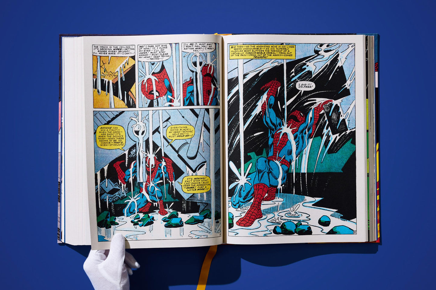 Marvel Comics Library. Spider-Man. Vol. 2. 1965–1966 (English) Book