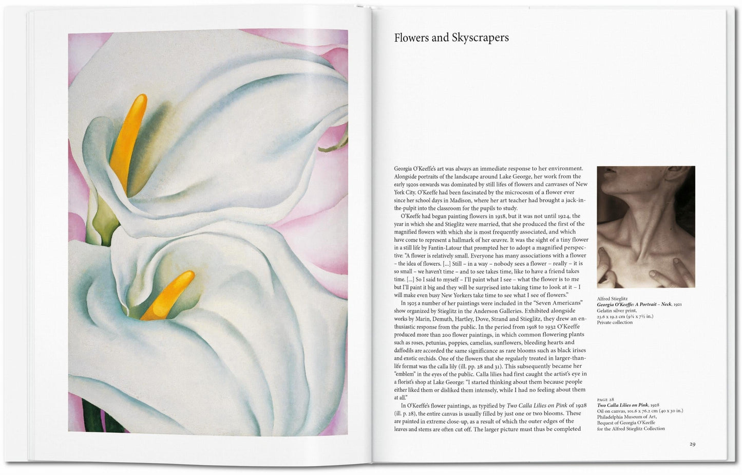 O'Keeffe (English) Book