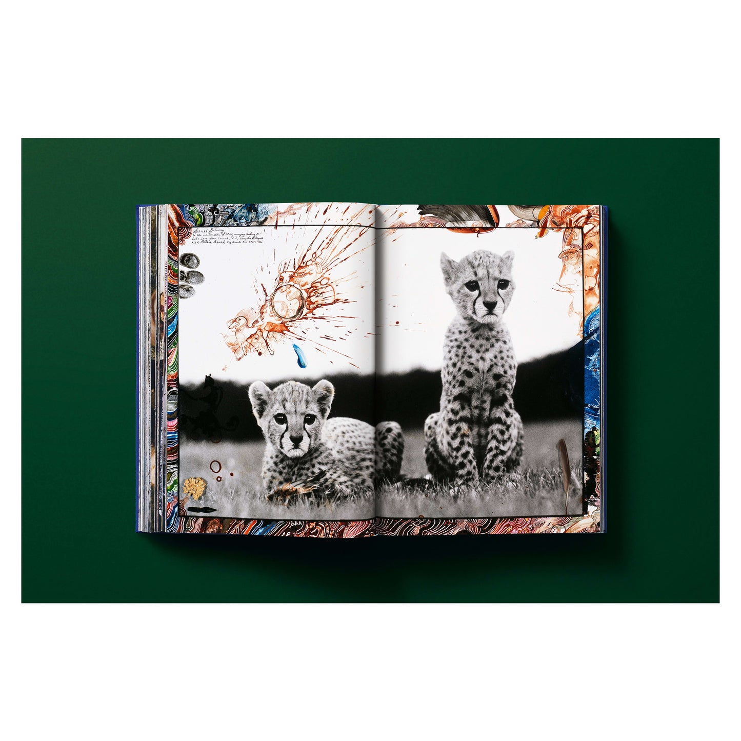Peter Beard (German, French, English) Book