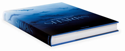 Michael Muller. Sharks (English) Book