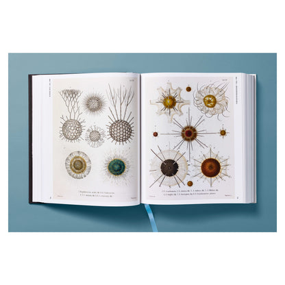 The Art and Science of Ernst Haeckel (German, French, English) Book
