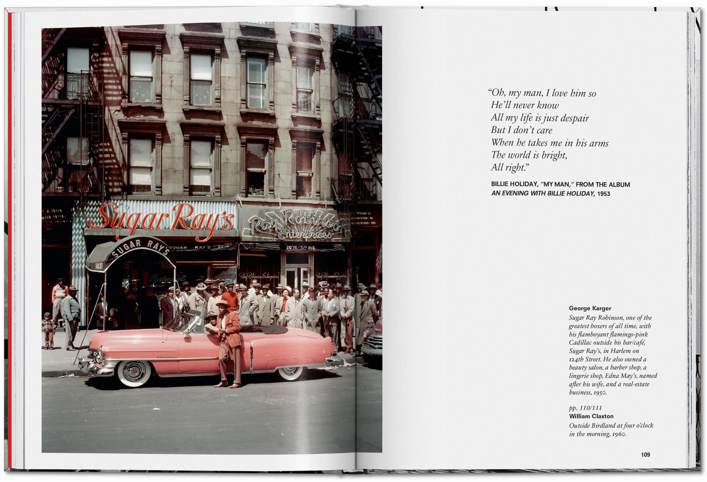 New York. Portrait of a City (English) Book