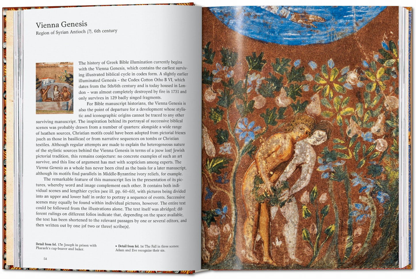 The Book of Bibles. 45th Ed. (English) Book