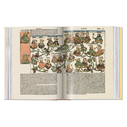 Hartmann Schedel. Chronicle of the World 1493 (English) Book