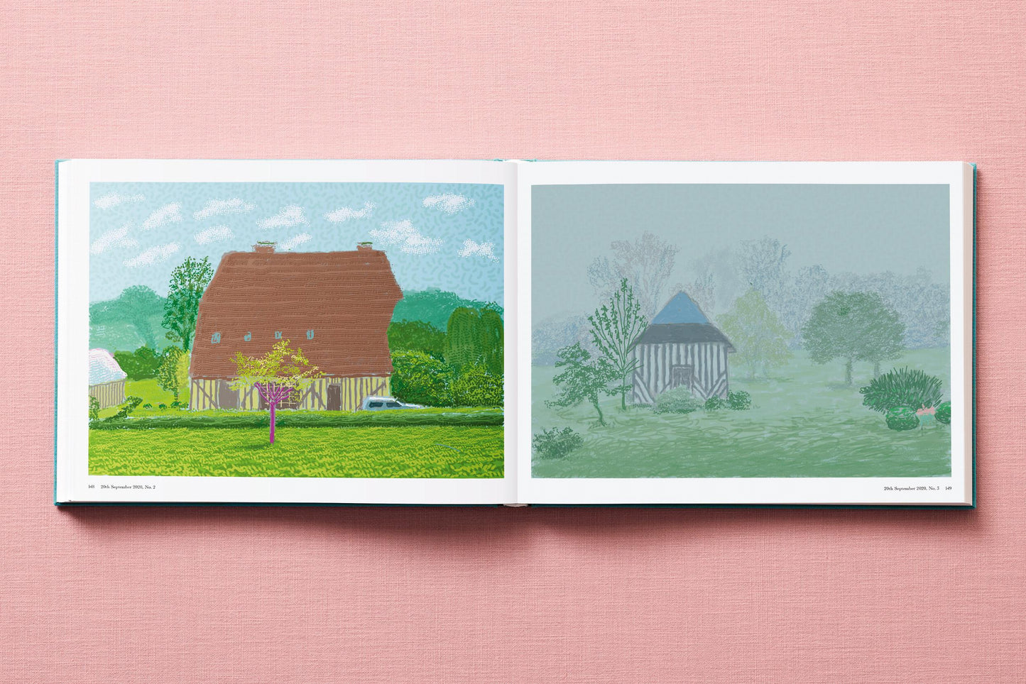 David Hockney. 220 for 2020 (English) Book