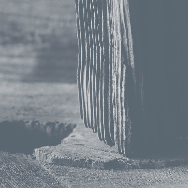 Nessun LegameCon La Polvere  Music CD