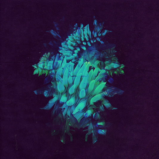 All Glows Music CD