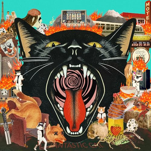 Cat Out Of Hell [CD] Music CD