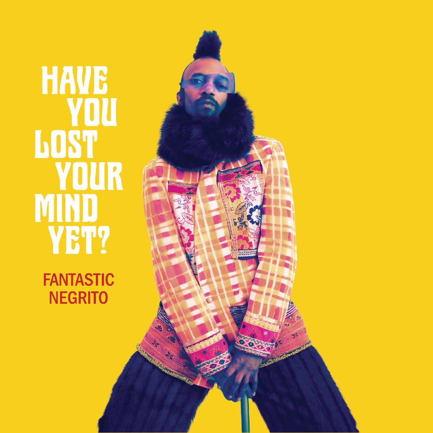 Have You Lost Your Mind Yet? Vinyl Record