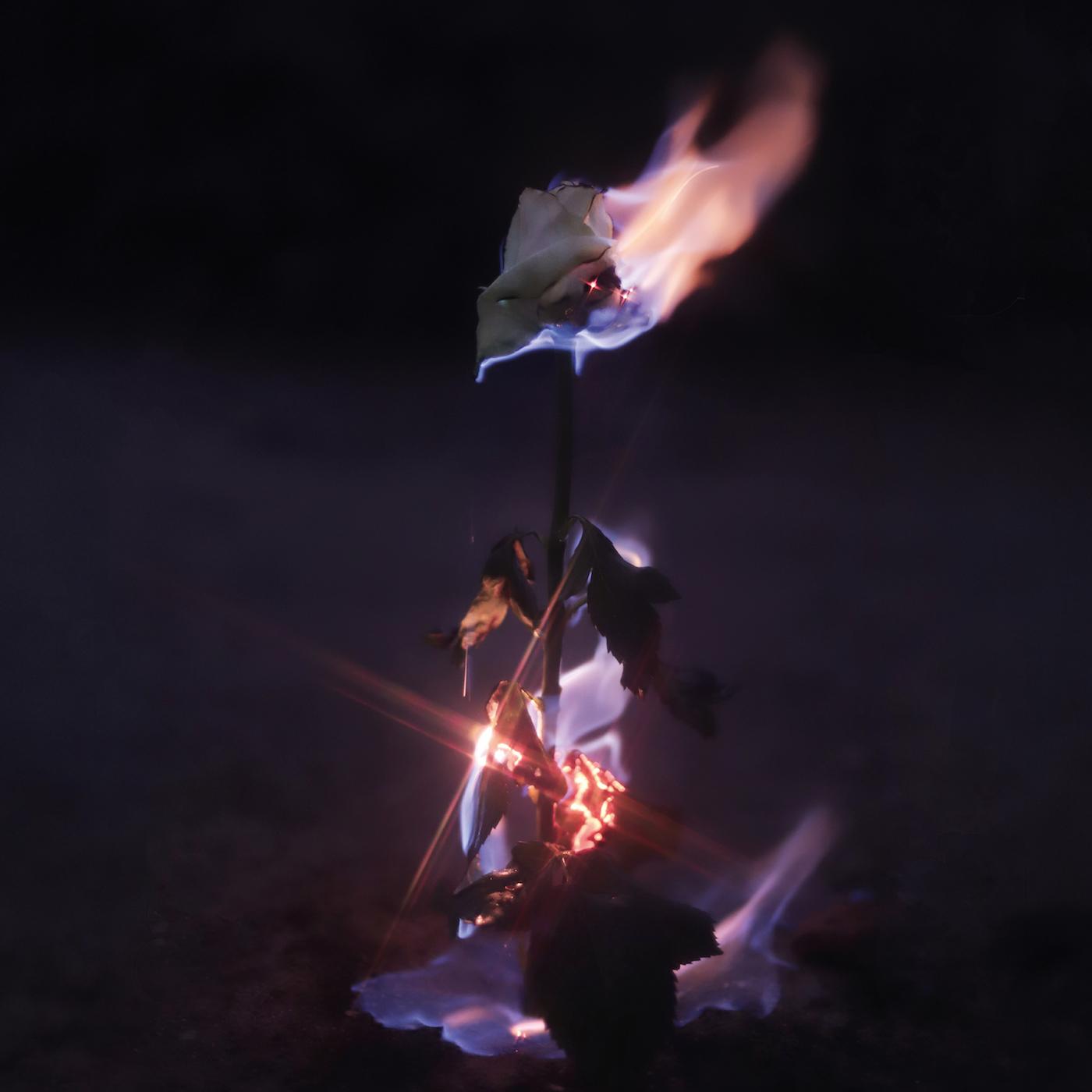 Momentary Glow Music CD