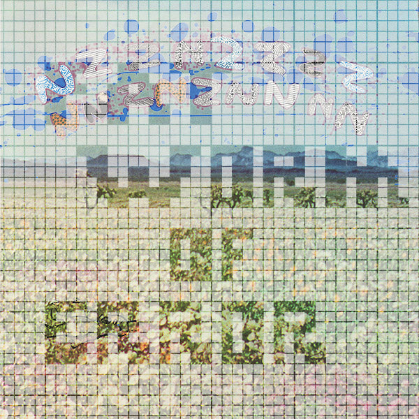 Nzznzzzznnznznnn Vinyl Record