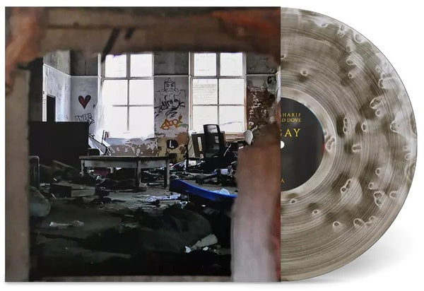 Decay Vinyl Record