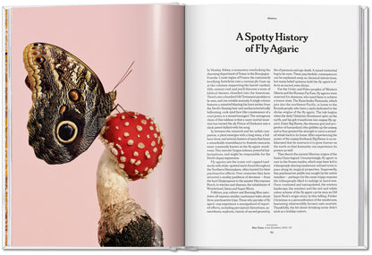The Gourmand's Mushroom. A Collection of Stories and Recipes (English) Book
