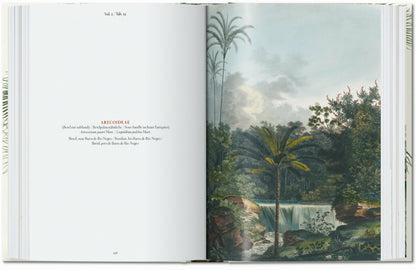 Martius. The Book of Palms. 45th Ed. (German, French, English) Book