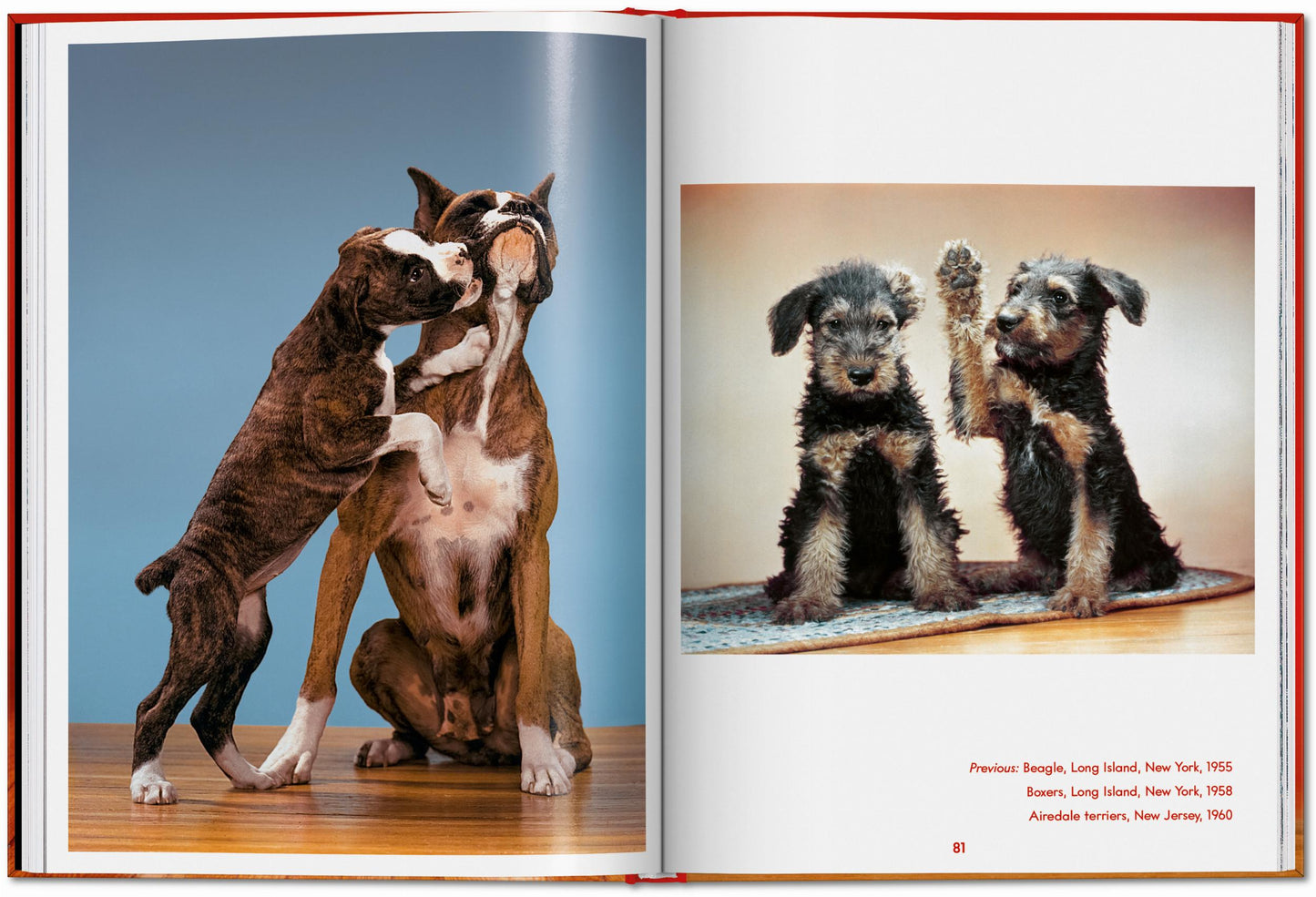 Walter Chandoha. Dogs. Photographs 1941–1991 (English) Book