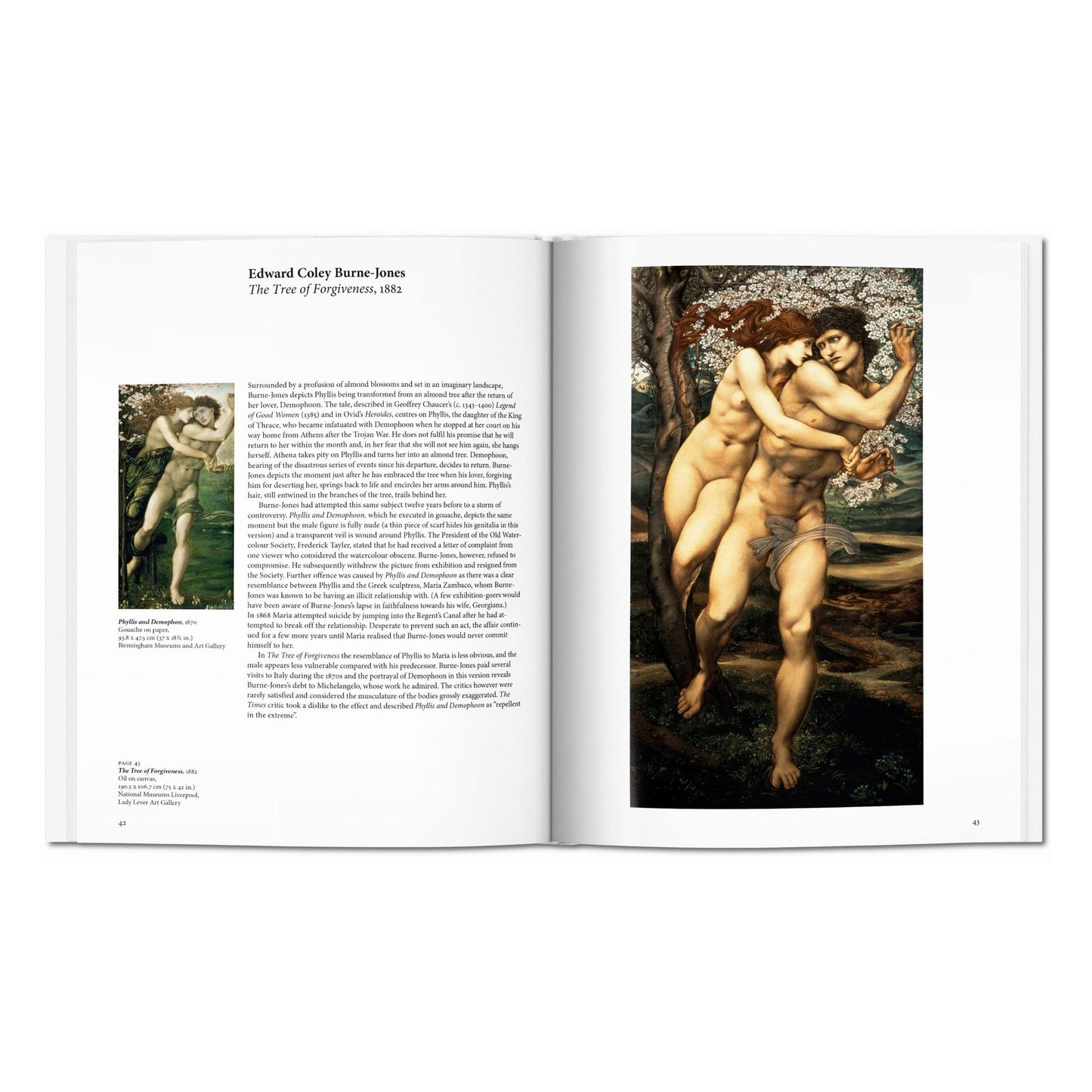 Pre-Raphaelites (English) Book