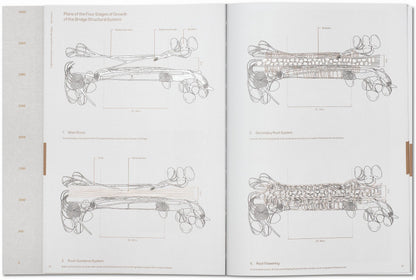 Julia Watson. Lo—TEK. Design by Radical Indigenism (English) Book