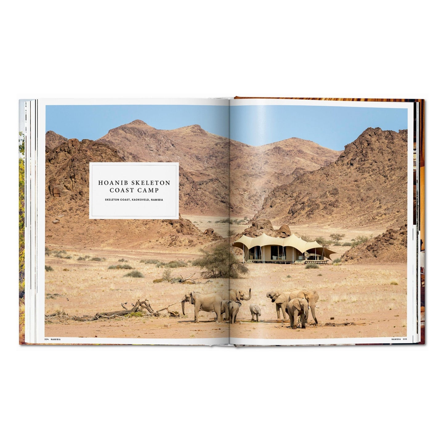 Great Escapes Africa. The Hotel Book (German, French, English) Book