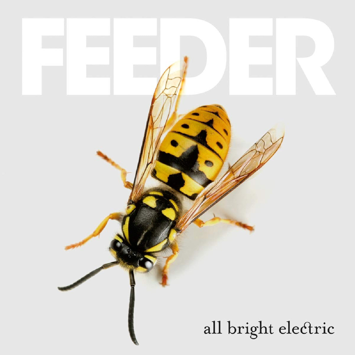 All Bright Electric (Deluxe Edition) Vinyl Record