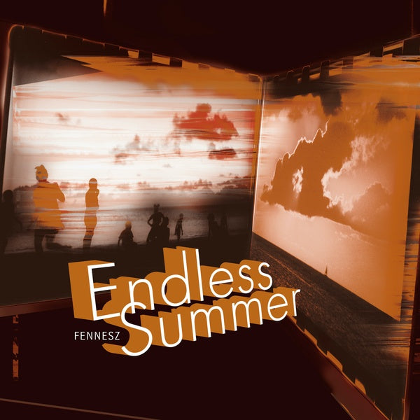 Endless Summer Vinyl Record