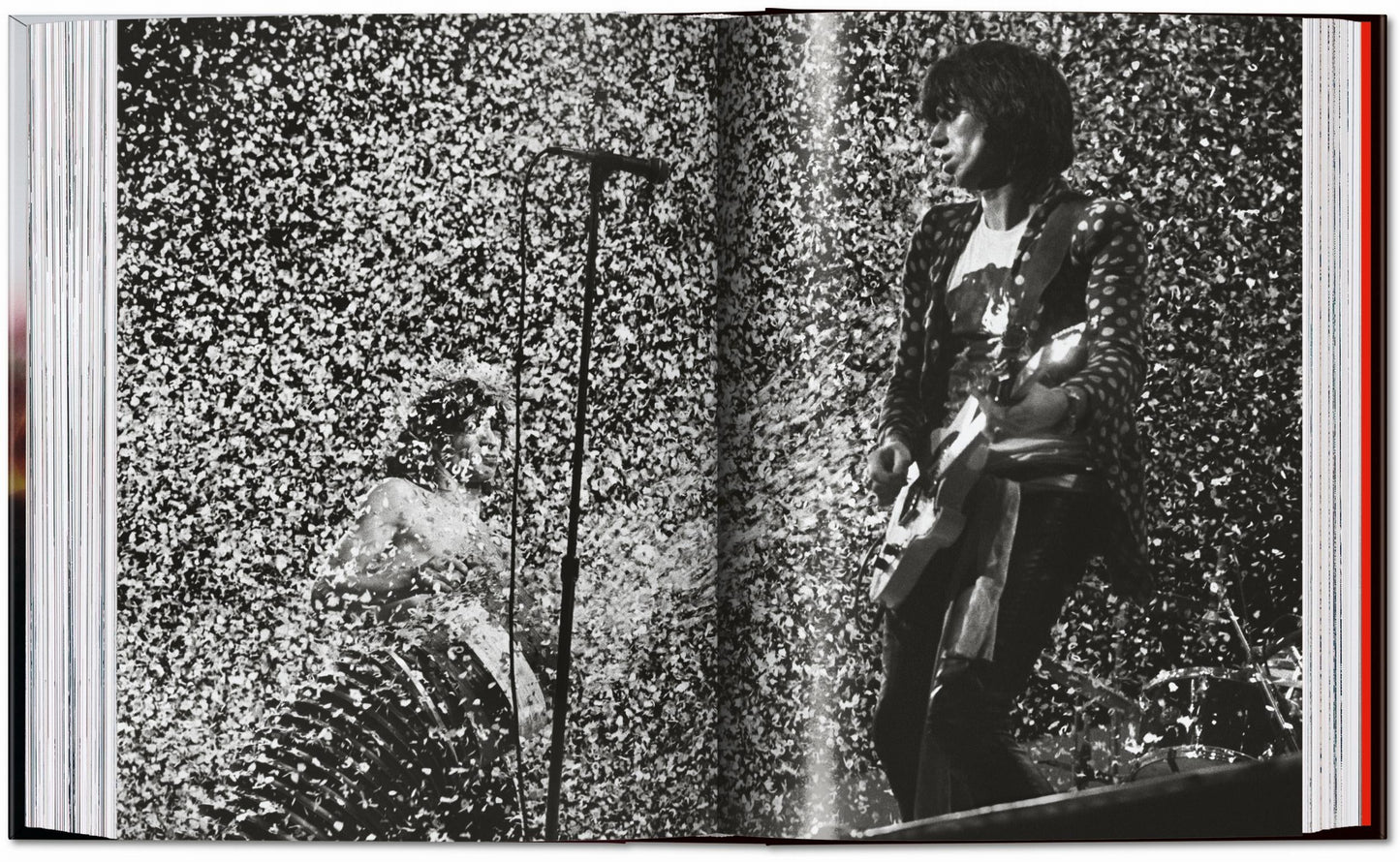 The Rolling Stones. 45th Ed. (English) Book
