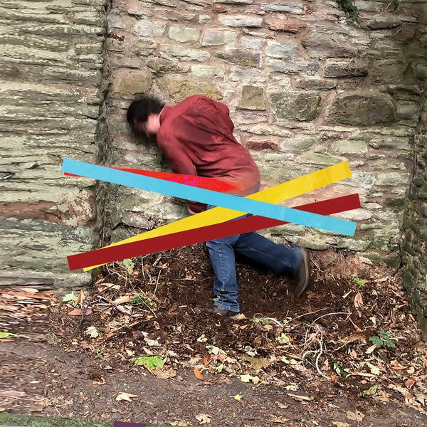 Domestic Economy Vinyl Record