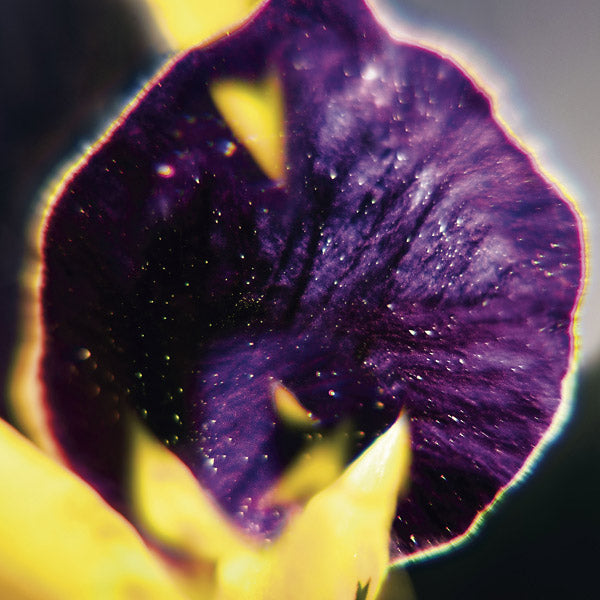 From Patterns To Details  Music CD