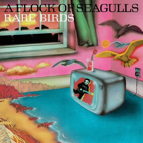 Rare Birds - a Flock of Seagulls' B-Sides (RSD 4.22.23) Vinyl Record