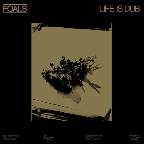 Life Is Dub (RSD 4.22.23) Vinyl Record
