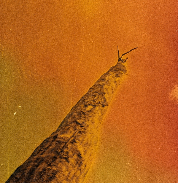 FREDERIC D. OBERLAND/GREGORY DARGENT/TONY ELIEH/WA - SIHR Vinyl Record