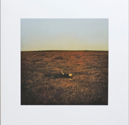 Fink – City Is Coming To Erase It All (LP Vinyl) Vinyl Record