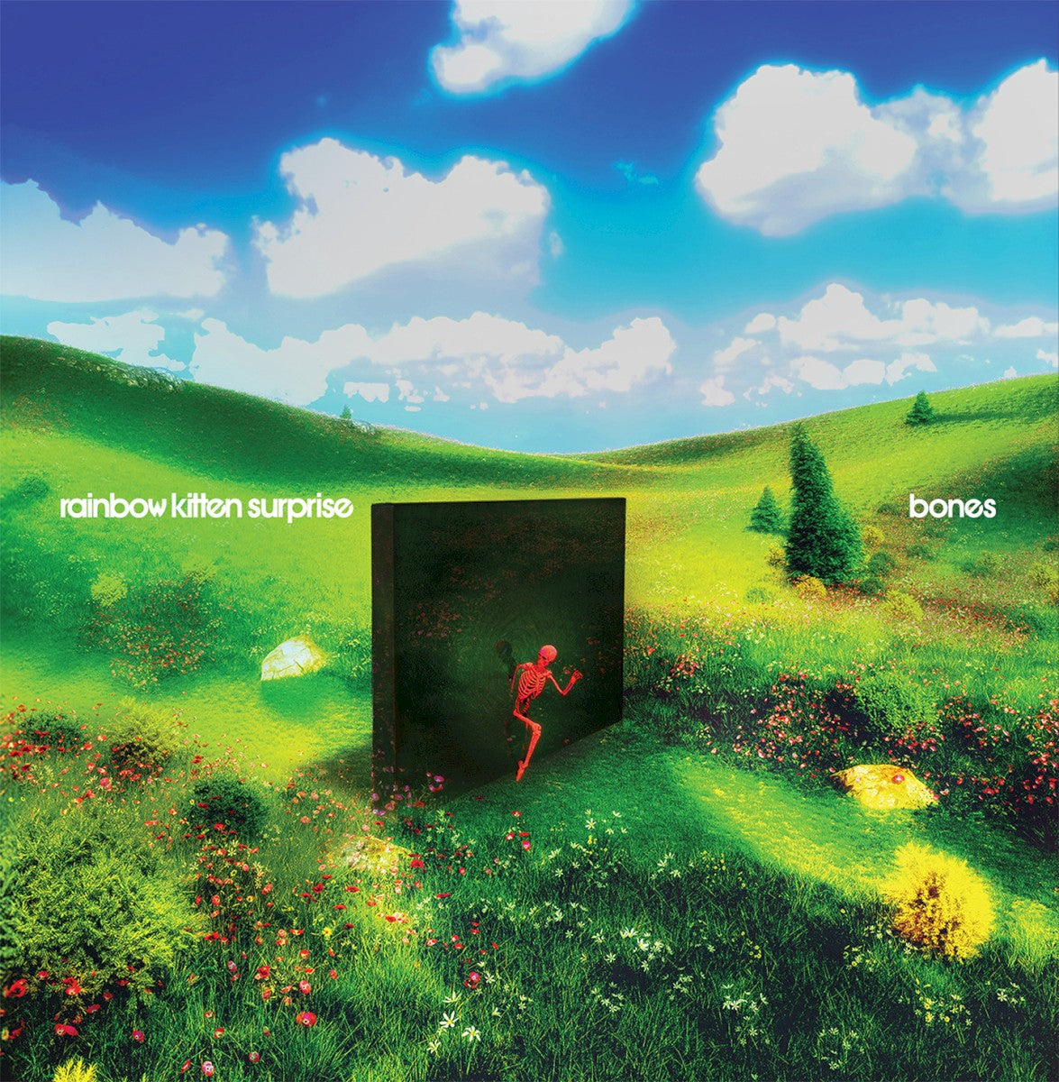 Rainbow Kitten Surprise – bones (LP Vinyl) Vinyl Record