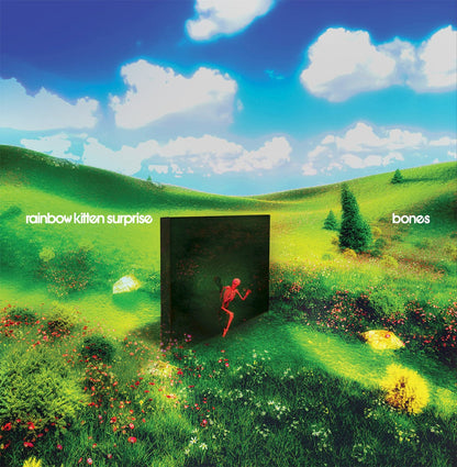 Rainbow Kitten Surprise – bones (LP Vinyl) Vinyl Record